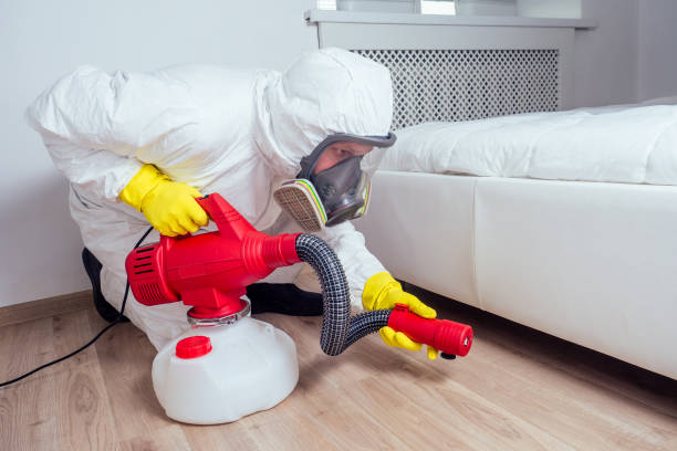 Real Estate Pest Inspections in Kingston, NJ